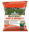 Black Beauty Heat & Drought Resistant Grass Seed | Jonathan Green Fashion