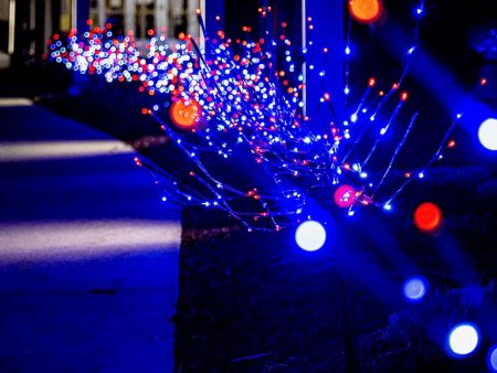 LED 36  Glimmer Spray - Outdoor Accent Lighting  | Christmas Online Hot Sale