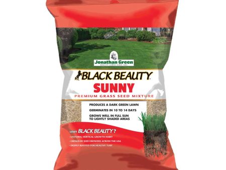 Black Beauty Sunny Grass Seed | Jonathan Green Online Sale