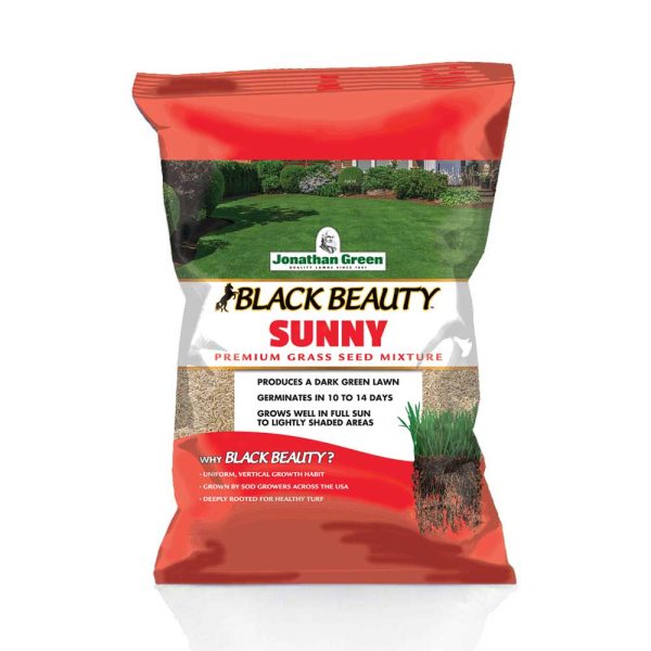 Black Beauty Sunny Grass Seed | Jonathan Green Online Sale