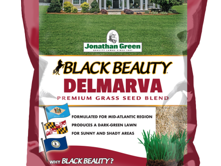 Black Beauty Delmarva Grass Seed | Jonathan Green For Cheap