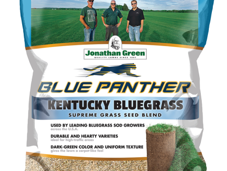 Blue Panther Kentucky Bluegrass | Jonathan Green Online now