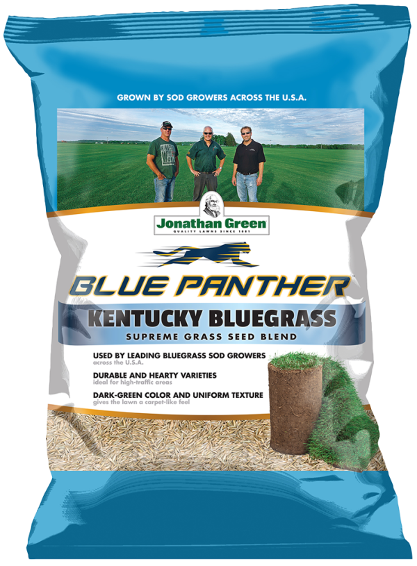 Blue Panther Kentucky Bluegrass | Jonathan Green Online now